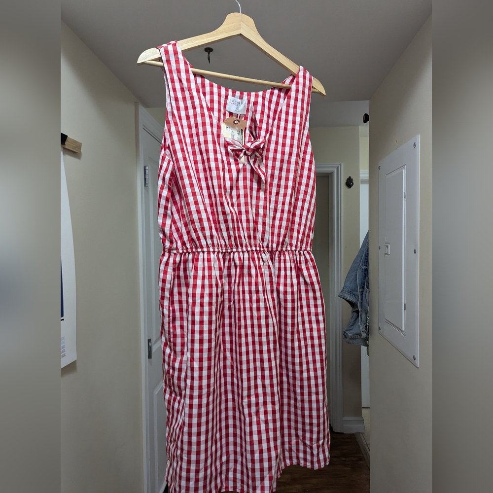 Red and white Gingham Plaid Dress